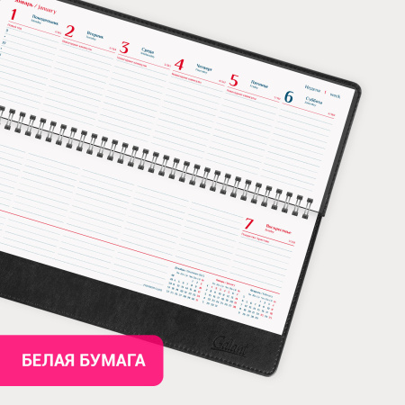 Планинг датированный 2024 305x140 мм GALANT "Ritter", под кожу, черный, 114821 - Планинги