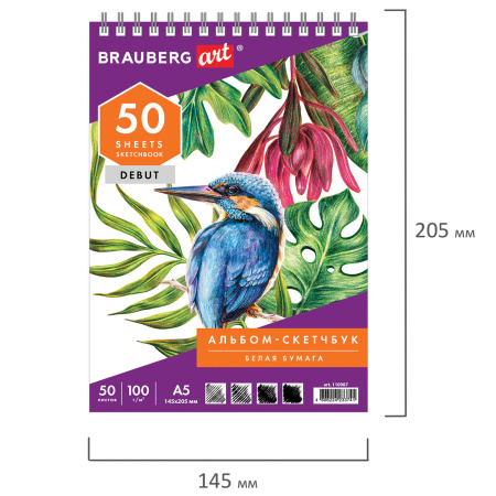 Скетчбук, белая бумага 100 г/м2, 145х205 мм, 50 л., гребень, жёсткая подложка, BRAUBERG ART DEBUT, 110987 - Альбомы, скетчбуки и бумага для графики и эскизов