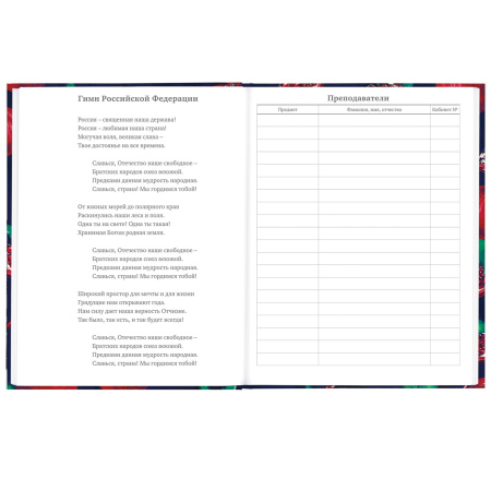 Дневник 5-11 класс 48 л., твердый, BRAUBERG, глянцевая ламинация, с подсказом, "Гранаты", 106621 - Дневники для старших классов