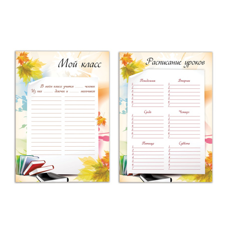 Листы-вкладыши для портфолио ШКОЛЬНИКА, 30 разделов, 32 листа, "Моё портфолио", BRAUBERG, 127550 - Портфолио