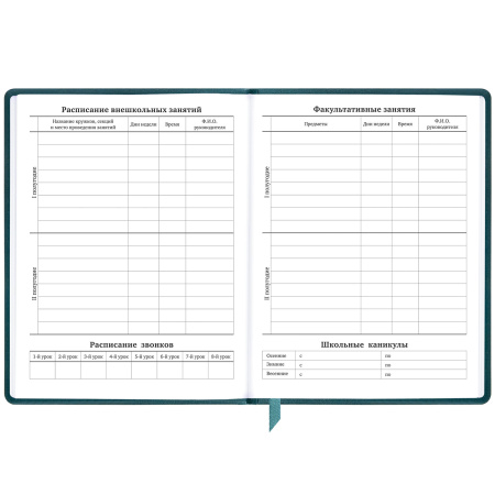 Дневник 1-11 класс 48 л., кожзам (твердая), печать, резинка, конверт, BRAUBERG, "Bright Lion", 106577 - Дневники универсальные