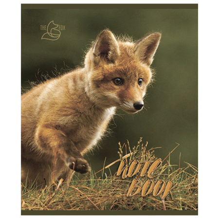 Тетрадь А5, 48 л., ПЗБМ, скоба, клетка, конгрев, глянцевый лак, "Хитрый лис" (5 видов), 028061 - Тетради 40-48 листов