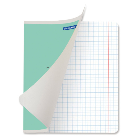 Тетради 12 л. КОМПЛЕКТ 20 шт. BRAUBERG КЛАССИКА NEW, клетка, обложка картон, АССОРТИ (5 видов), 880046 - Тетради 12-24 листов