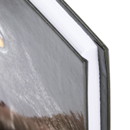 Блокнот МАЛЫЙ ФОРМАТ (110х147 мм), А6, 80 л., твёрдый, клетка, STAFF, "Сова", 114437 - Блокноты в книжном переплете