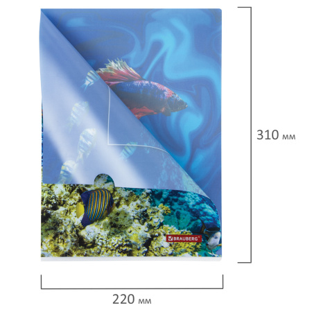 Папка-уголок BRAUBERG "SEA WORLD", А4, 150 мкм, цветная печать, 228042 - Папки-уголки пластиковые