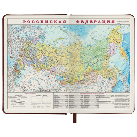 Ежедневник недатированный А5 138х213 мм BRAUBERG "Iguana" под кожу, 160 л., темно-коричневый, 125090 - Ежедневники с покрытием "под кожу и ткань"