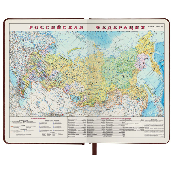 Ежедневник недатированный А5 138х213 мм BRAUBERG "Iguana" под кожу, 160 л., темно-коричневый, 125090 - Ежедневники с покрытием "под кожу и ткань"