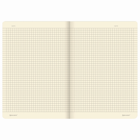 Тетрадь 40 л. в клетку обложка SoftTouch, фольга, бежевая бум. 70 г/м2, сшивка, А5 (147х210 мм), FLOWERS, BRAUBERG, 403773 - Тетради 40-48 листов