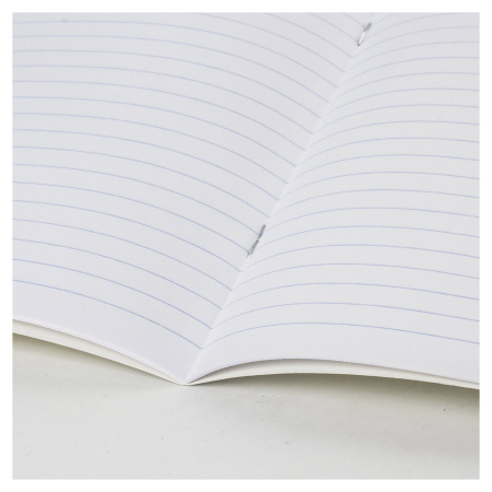 Тетради 24 л. КОМПЛЕКТ 10 шт. BRAUBERG "КЛАССИКА", линия, обложка картон, ЗЕЛЕНАЯ, 106662 - Тетради 12-24 листов