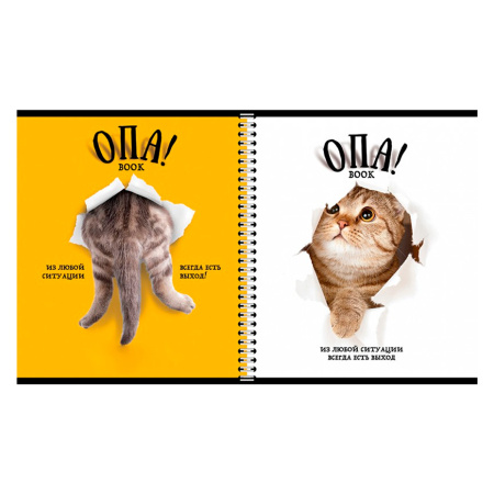 Тетрадь А5 96 л. ПЗБМ, гребень, клетка/линия, выборочный лак, перевёртыш, "Опа!" (5 видов), 028558 - Тетради более 60 листов