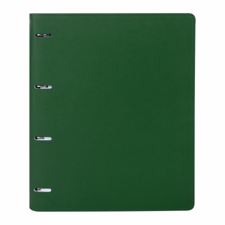 Тетрадь на кольцах БОЛЬШАЯ А4 (240х310 мм), 120 листов, под кожу, клетка, BRAUBERG "Joy", зелёный/светло-зелёный, 404508 - Тетради на кольцах и сменные блоки к ним