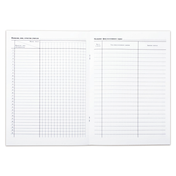 Книга "Журнал факультативных занятий", 24 листа, А4, 205х282 мм, обложка мелованный картон, блок офсет, 15855 - Классные журналы