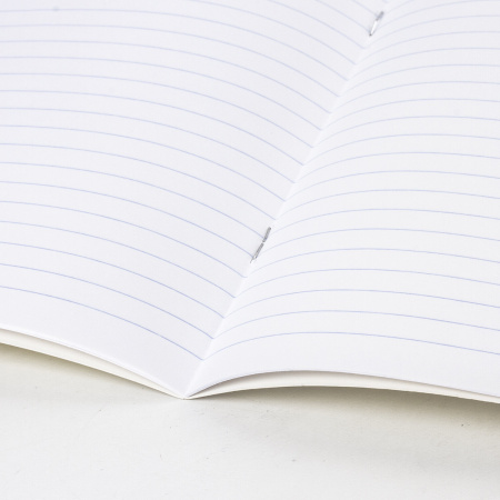 Тетради 18 л. КОМПЛЕКТ 20 шт. BRAUBERG КЛАССИКА NEW, линия, обложка картон, ЗЕЛЕНАЯ, 880063 - Тетради 12-24 листов