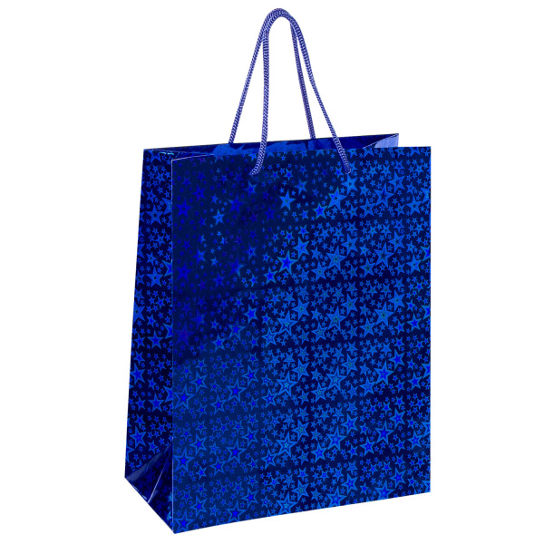 Пакеты подарочные 26x12,7x32,4 см, ЗОЛОТАЯ СКАЗКА голография, ассорти, 10 штук - Подарочные пакеты